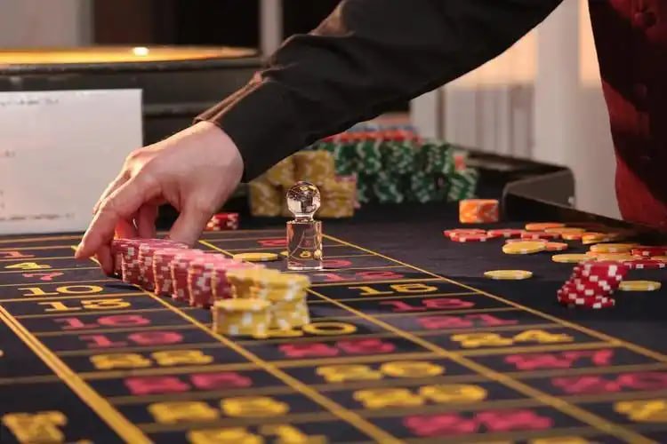 rummy app